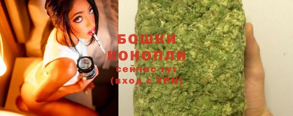 спиды Арсеньев