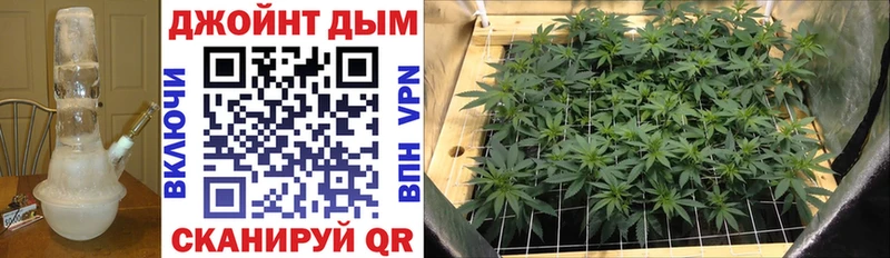 kraken ссылки  Чекалин  Канабис LSD WEED  магазин продажи наркотиков 